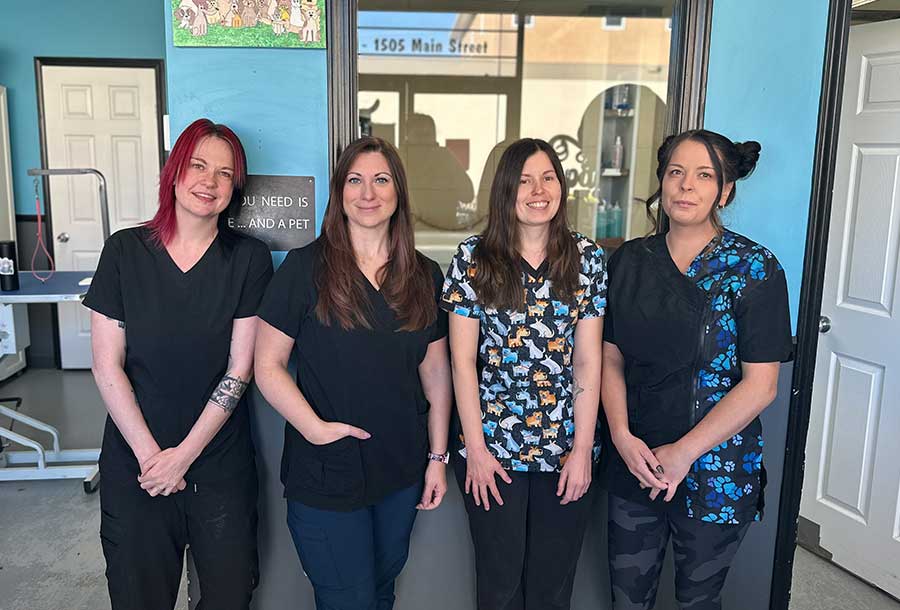 Penticton Pet Groomer