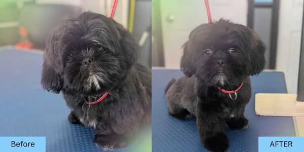Before & After